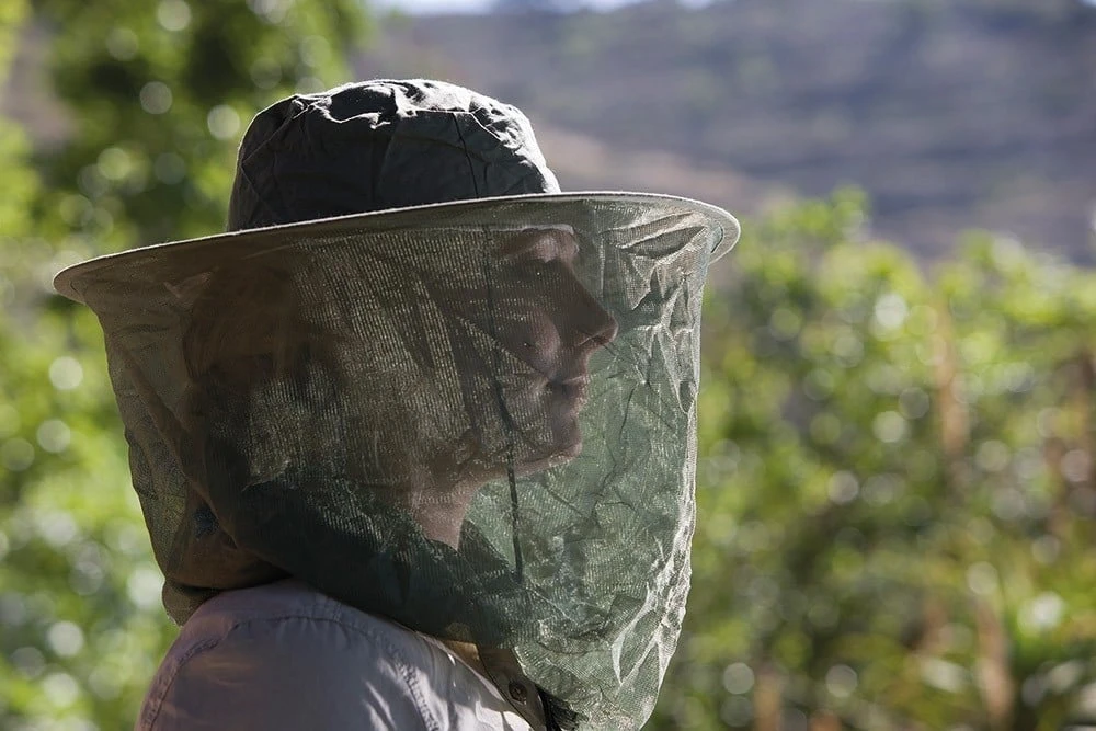 Care Plus Pop-Up HeadNet 2 Care Plus Pop-Up HeadNet - Afbeelding 2