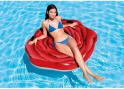 Intex Roos Luchbed -Klean Kanteen Winkel 57384 intex roos luchbed