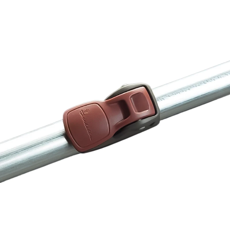 Isabella T-Rex 1 Isabella T-Rex