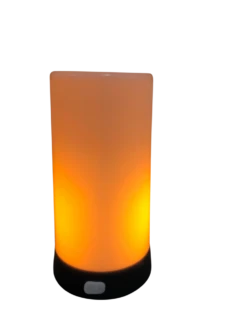 Human Comfort Zalana Oplaadbare Lamp