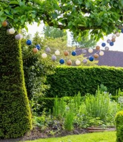 Cotton Ball Lights Outdoor Glamping Starter Kit Blauw 7 Cotton Ball Lights Outdoor Glamping Starter Kit Blauw -Klean Kanteen Winkel 85896 cotton ball lights outdoor glamping starter kit